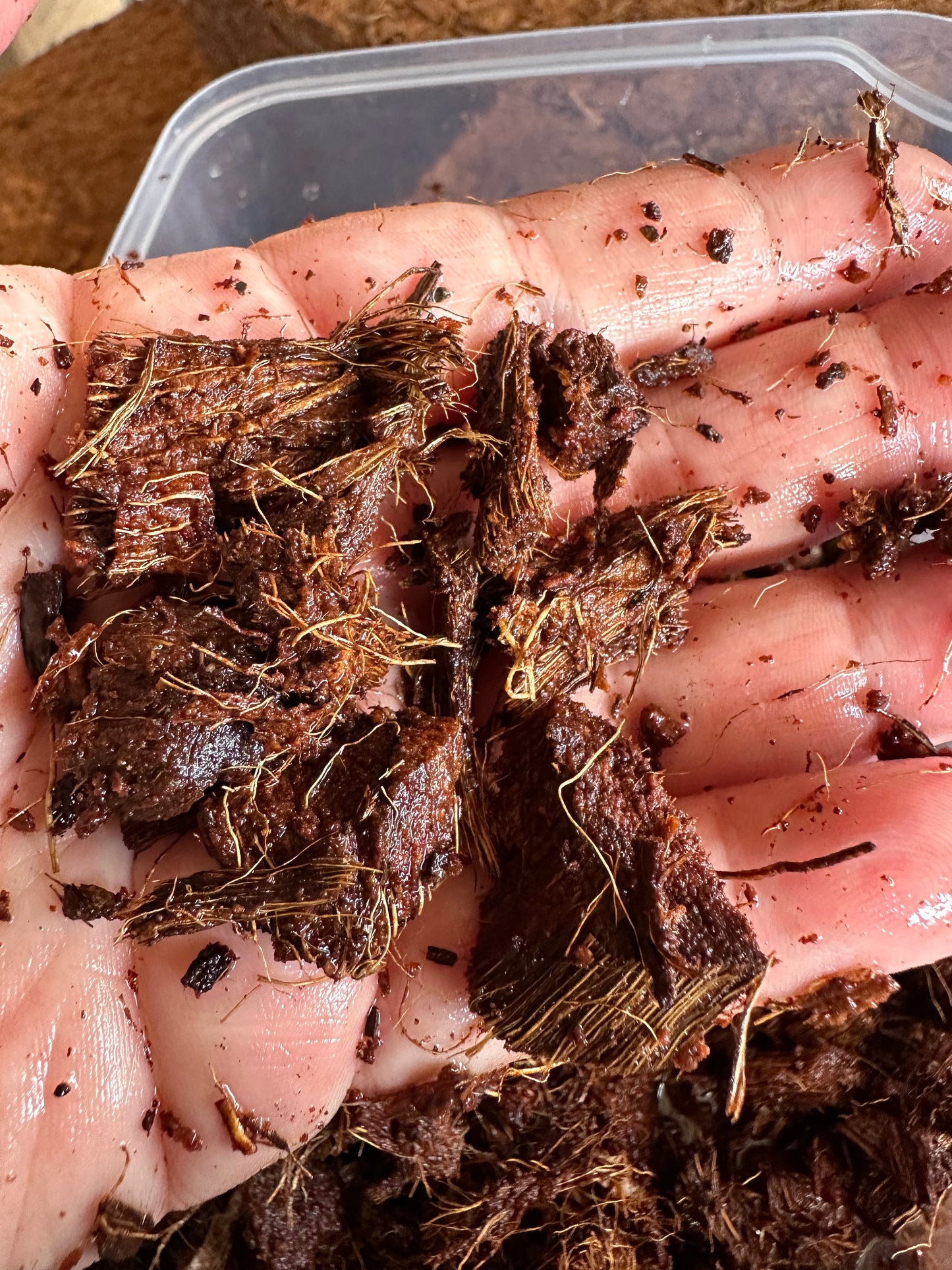 Coco Husk 10 Pound Bale