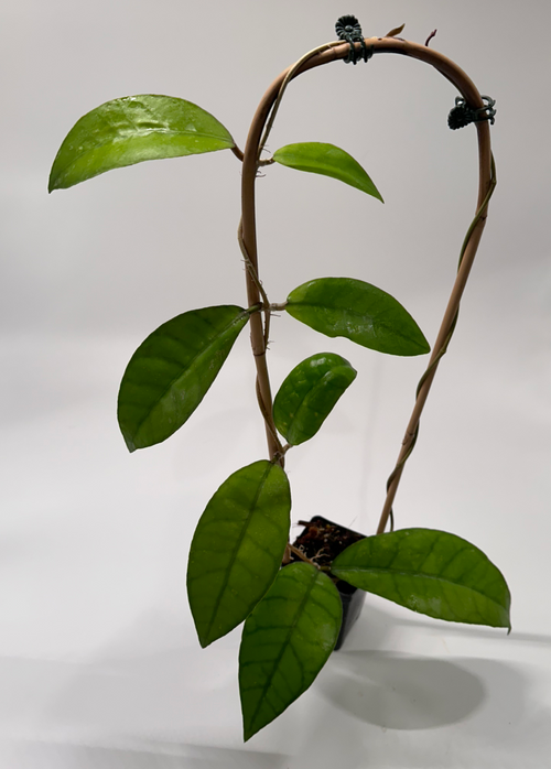 C12DD87E-2208-45E1-8768-