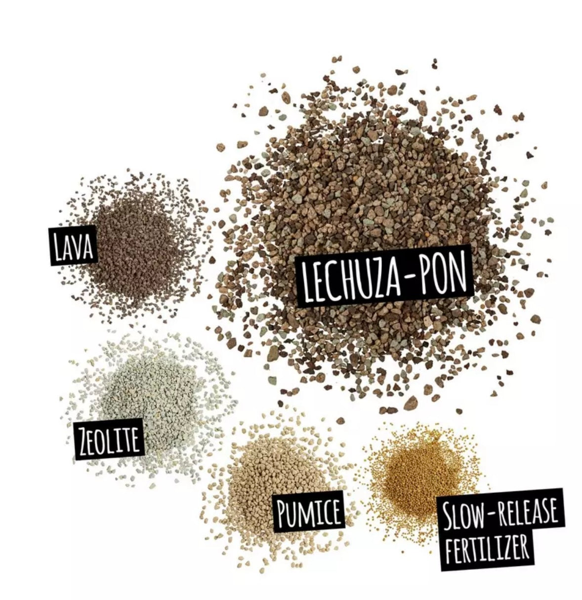 Lechuza Pon